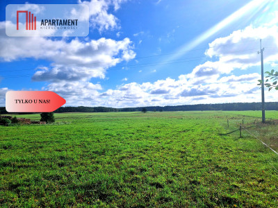 Tylko u nas Siedlisko ze starymi zabudowaniami - Kęsza  -
Pomorskie Zdjęcie nr 8