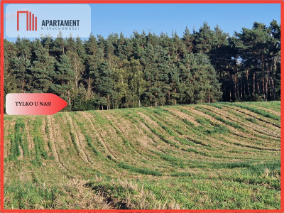 Działka budowlana z linią brzegową jeziora - Wiewiórczyn  - Kujawsko-Pomorskie