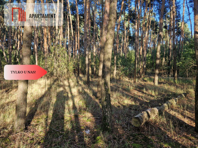 Działka budowlana z linią brzegową jeziora - Wiewiórczyn  -
Kujawsko-Pomorskie Zdjęcie nr 4