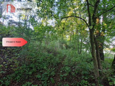 Działka budowlana z linią brzegową jeziora - Wiewiórczyn  -
Kujawsko-Pomorskie Zdjęcie nr 5