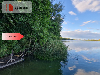 Działka budowlana z linią brzegową jeziora - Wiewiórczyn  -
Kujawsko-Pomorskie Zdjęcie nr 6