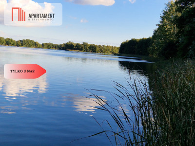 Działka budowlana z linią brzegową jeziora - Wiewiórczyn  -
Kujawsko-Pomorskie Zdjęcie nr 8
