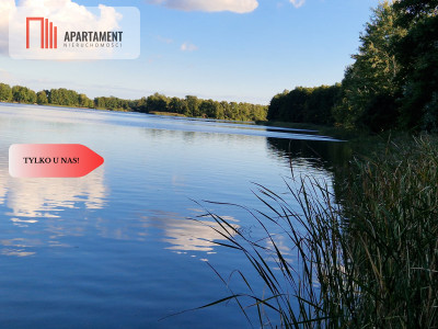 Działka z linią brzegową jeziora wydane WZ - Wiewiórczyn  -
Kujawsko-Pomorskie Zdjęcie nr 9
