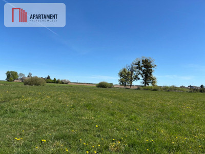 Wyjątkowa działka 34 ary k Iławy - Stradomno  - Warmińsko-Mazurskie