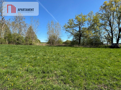 Wyjątkowa działka 34 ary k Iławy - Stradomno  -
Warmińsko-Mazurskie Zdjęcie nr 3