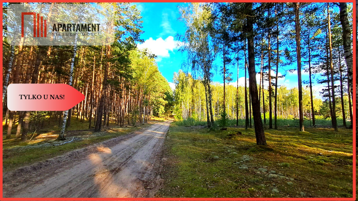 Duża działka rekreacyjna blisko jeziora - Cekcyn  -
Kujawsko-Pomorskie Zdjęcie nr 1