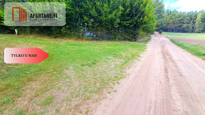 Duża działka rekreacyjna blisko jeziora - Cekcyn  -
Kujawsko-Pomorskie Zdjęcie nr 2