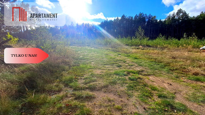 Duża działka rekreacyjna blisko jeziora - Cekcyn  -
Kujawsko-Pomorskie Zdjęcie nr 7