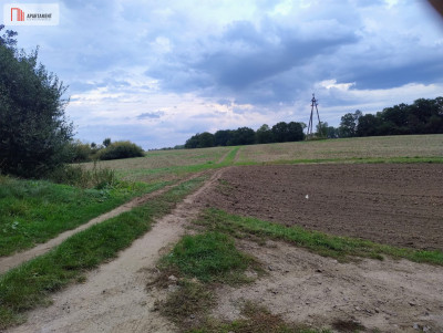 Działka w Borkowicach-bliskość morza - Borkowice  -
Zachodniopomorskie Zdjęcie nr 4