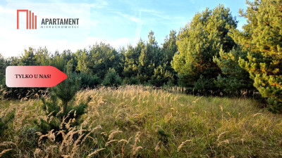 Działka blisko jeziora las 3300m2 - Piotrków Kujawski  -
Kujawsko-Pomorskie Zdjęcie nr 14