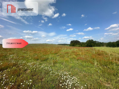 Działki rekreacyjne - Czarne  -
Pomorskie Zdjęcie nr 2