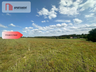 Działki rekreacyjne - Czarne  -
Pomorskie Zdjęcie nr 3