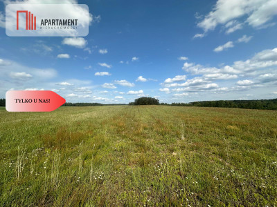 Działki rekreacyjne - Czarne  -
Pomorskie Zdjęcie nr 4