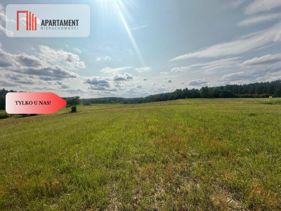 Działki rekreacyjne - Czarne  -
Pomorskie Zdjęcie nr 5