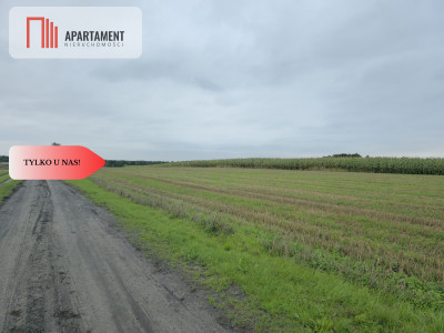 Działka budowlana z WZ blisko jeziora Warlubie - Za Torem  -
Kujawsko-Pomorskie Zdjęcie nr 3