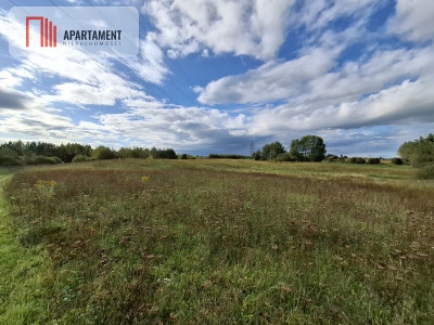 1Działka 3000 m  Warmia 15 min od Olsztyna - Mątki  -
Warmińsko-Mazurskie Zdjęcie nr 2