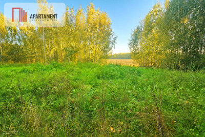 malownicza działka w Chełmżycy k Iławy  49 arów - Chełmżyca  - Warmińsko-Mazurskie