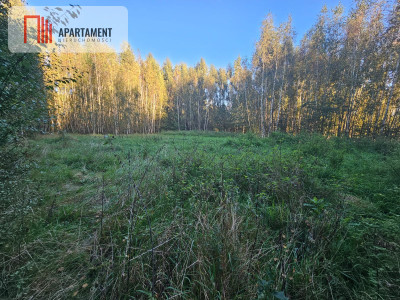 malownicza działka w Chełmżycy k Iławy  49 arów - Chełmżyca  -
Warmińsko-Mazurskie Zdjęcie nr 3