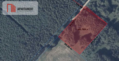 malownicza działka w Chełmżycy k Iławy  49 arów - Chełmżyca  -
Warmińsko-Mazurskie Zdjęcie nr 5
