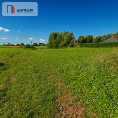 Wyjątkowa działka  1552 m  Szałkowo k Iławy - Szałkowo  - Warmińsko-Mazurskie