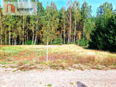 Działka budowlana ze ścianą lasu  - Czersk  -
Pomorskie Zdjęcie nr 3
