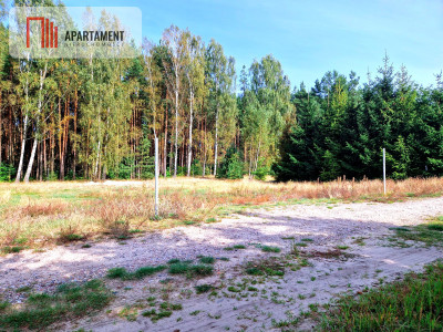 Działka budowlana ze ścianą lasu  - Czersk  -
Pomorskie Zdjęcie nr 4