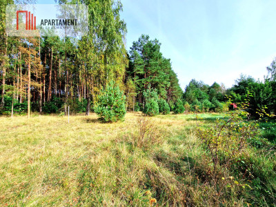 Działka budowlana ze ścianą lasu  - Czersk  -
Pomorskie Zdjęcie nr 5