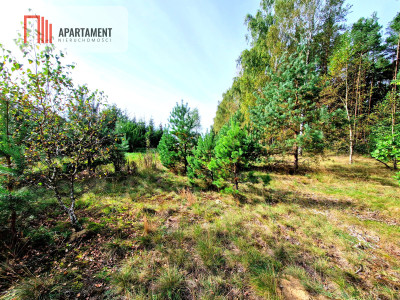 Działka budowlana ze ścianą lasu  - Czersk  -
Pomorskie Zdjęcie nr 7