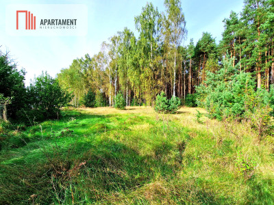 Działka budowlana ze ścianą lasu  - Czersk  -
Pomorskie Zdjęcie nr 9