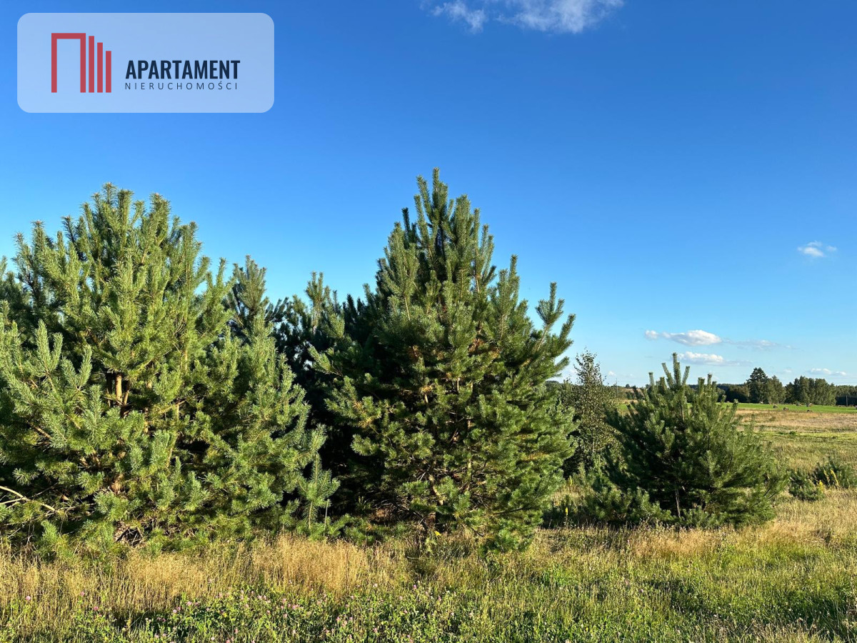 Szatarpy-spokojna okolica zieleń i natura - Szatarpy  -
Pomorskie Zdjęcie nr 1