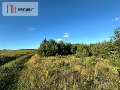 Szatarpy-spokojna okolica zieleń i natura - Szatarpy  -
Pomorskie Zdjęcie nr 2