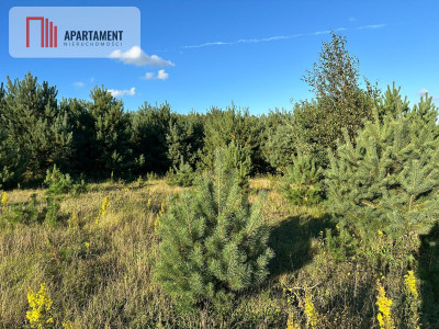 Szatarpy-spokojna okolica zieleń i natura - Szatarpy  -
Pomorskie Zdjęcie nr 7