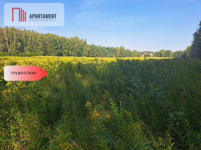 1222 m2 z widokiem na las - Miękinia  -
Dolnośląskie Zdjęcie nr 10