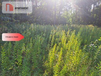 1222 m2 z widokiem na las - Miękinia  -
Dolnośląskie Zdjęcie nr 11