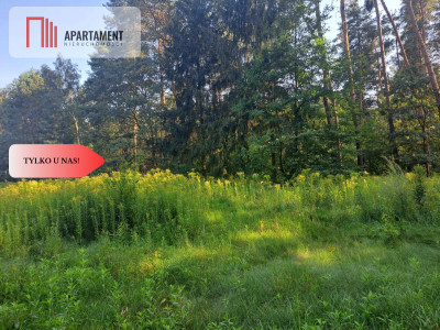 1222 m2 z widokiem na las - Miękinia  -
Dolnośląskie Zdjęcie nr 12