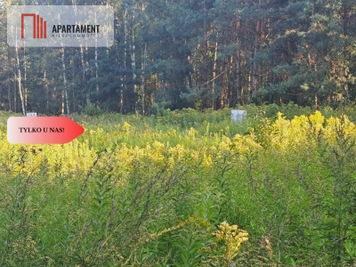 1222 m2 z widokiem na las - Miękinia  -
Dolnośląskie Zdjęcie nr 13