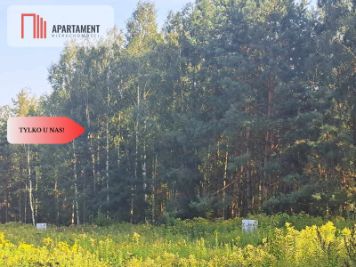 1222 m2 z widokiem na las - Miękinia  -
Dolnośląskie Zdjęcie nr 14