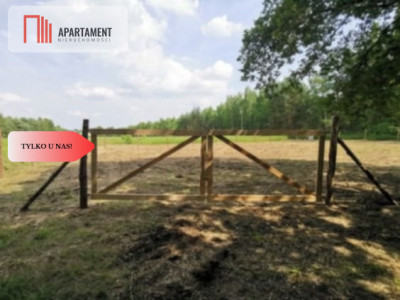 1222 m2 z widokiem na las - Miękinia  -
Dolnośląskie Zdjęcie nr 3