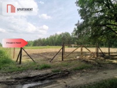 1222 m2 z widokiem na las - Miękinia  -
Dolnośląskie Zdjęcie nr 4