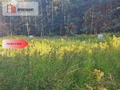 1222 m2 z widokiem na las - Miękinia  -
Dolnośląskie Zdjęcie nr 7