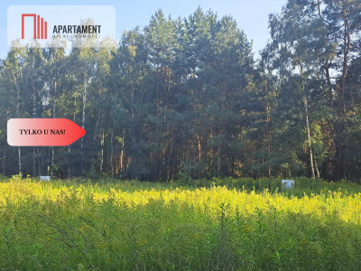 1222 m2 z widokiem na las - Miękinia  -
Dolnośląskie Zdjęcie nr 8