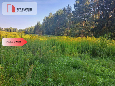 1222 m2 z widokiem na las - Miękinia  -
Dolnośląskie Zdjęcie nr 9