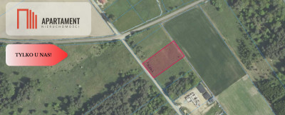 Działki w zacisznym otoczeniu - Złotów gm Zawonia - Złotów  -
Dolnośląskie Zdjęcie nr 4