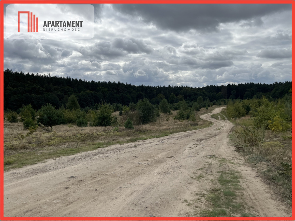 Teren las rzeki hodowla ryb żwirownia - Lubnica  -
Wielkopolskie Zdjęcie nr 1