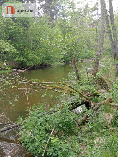 Teren las rzeki hodowla ryb żwirownia - Lubnica  -
Wielkopolskie Zdjęcie nr 12
