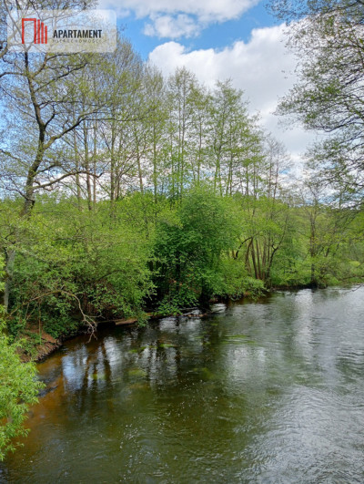 Teren las rzeki hodowla ryb żwirownia - Lubnica  -
Wielkopolskie Zdjęcie nr 14