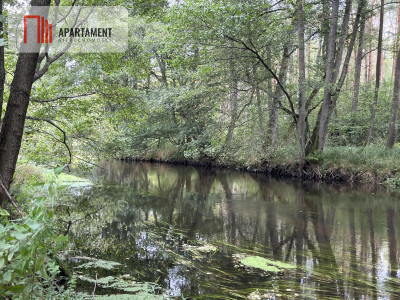 Teren las rzeki hodowla ryb żwirownia - Lubnica  -
Wielkopolskie Zdjęcie nr 5