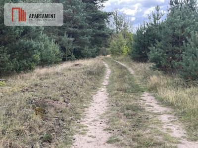 Teren las rzeki hodowla ryb żwirownia - Lubnica  -
Wielkopolskie Zdjęcie nr 8