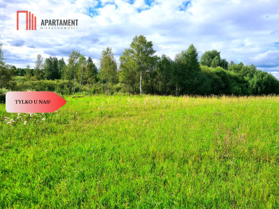 Tylko U Nas Działki zagrodowe blisko jeziora - Stężyca  -
Pomorskie Zdjęcie nr 8