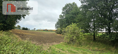 Działka w zielonej okolicy  3000 m - Goszyn  - Pomorskie